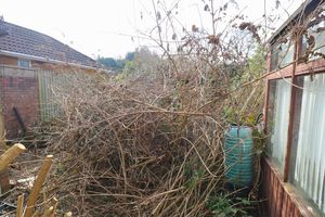 Photo 6- click for photo gallery